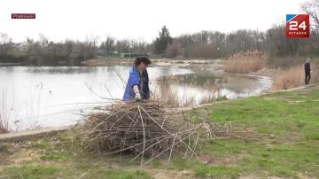 ������� ������: ������������� ����� ������� ������ � ���������