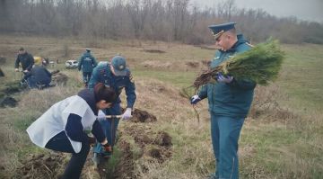 ��������� ��� ������ � ������������� ����������� �������������� ������ �������� ������ ���