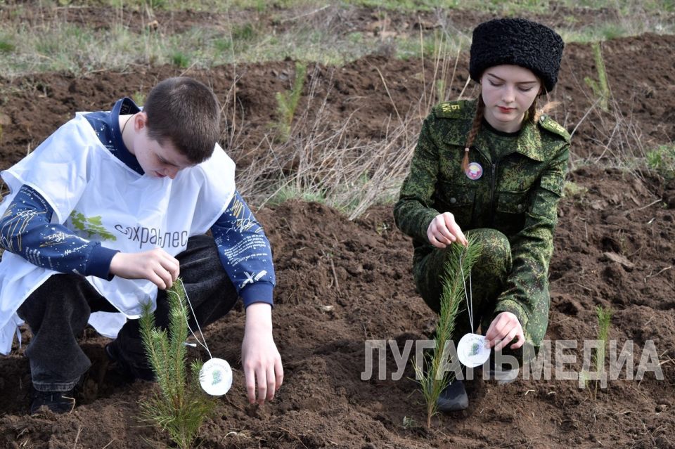 Брянковчане приняли участие во Всероссийской акции «Сад памяти» Брянковчане приняли участие во Всероссийской акции «Сад памяти»