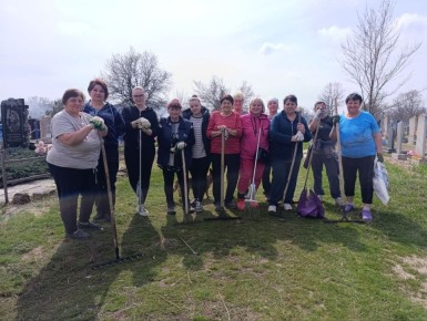 ������������ ���� �����������: ��� ����� ����� � �������!