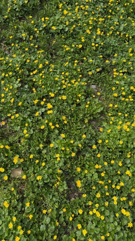 ��������� ������������ 4 ������ � ��� �� 5 �������� ���� ���� ����� �� 20 �������� ����� ����, ������ ��������� �����, ����� � ����� � �����-������ �������� ���������� ��� ������ �� ���