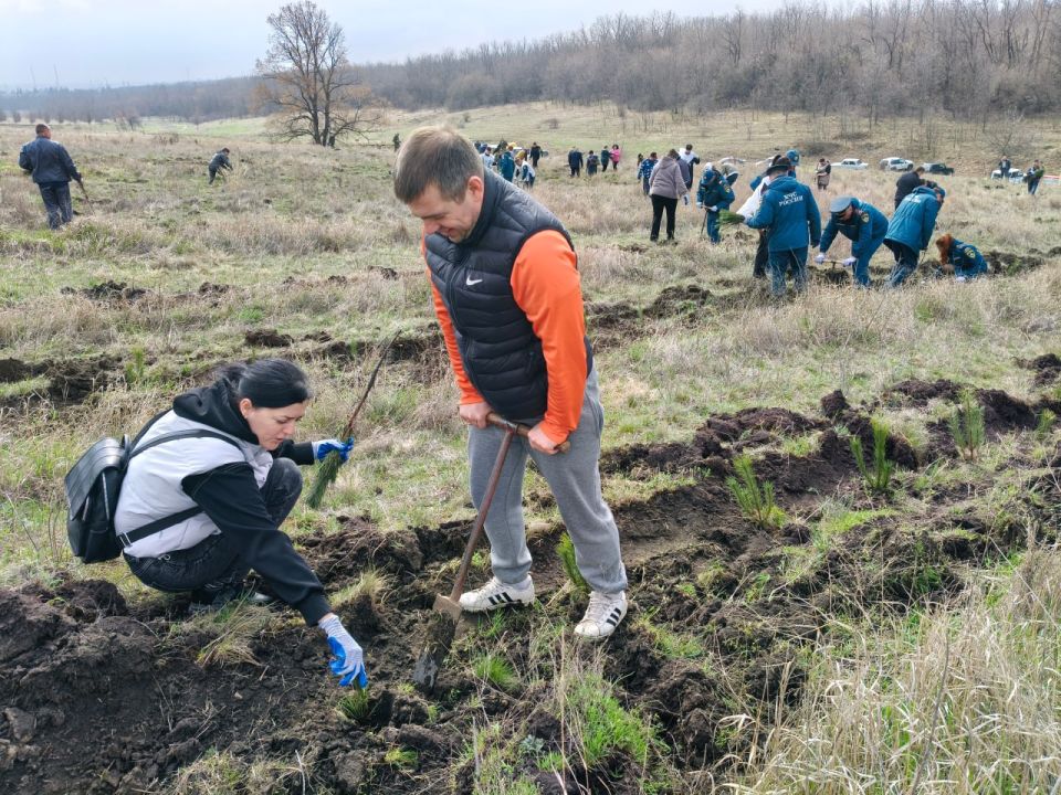 В Новоайдарском районе участники Международной акции «Сад памяти» высадили 10 тысяч саженцев сосны крымской В Новоайдарском районе участники Международной акции «Сад памяти» высадили 10 тысяч саженцев сосны крымской
