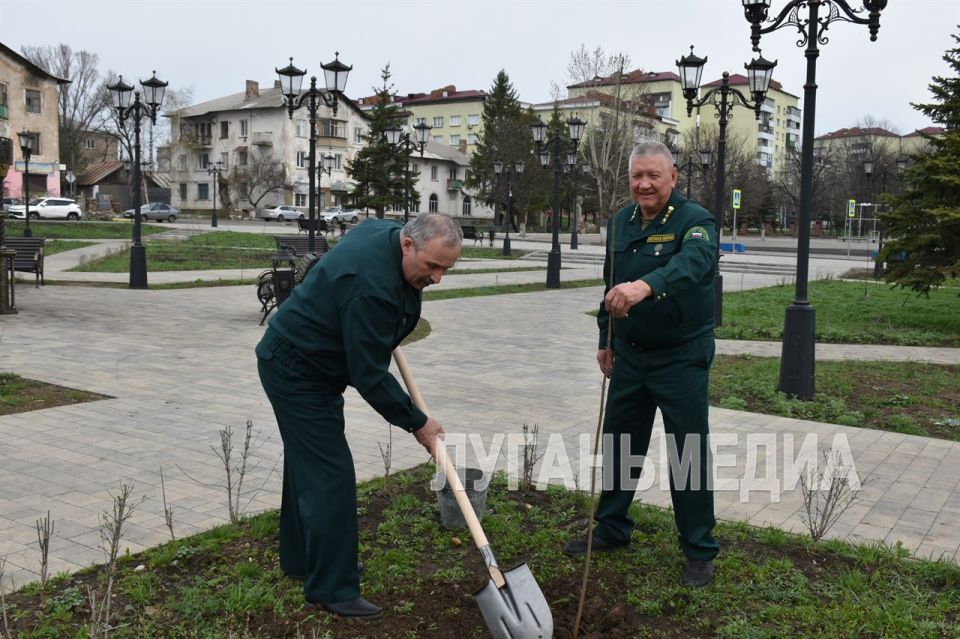 Очередной визит побратимов из Ставропольского края порадовал Антрацит высадкой саженцев молодых деревьев Очередной визит побратимов из Ставропольского края порадовал Антрацит высадкой саженцев молодых деревьев