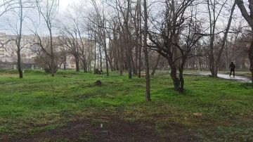 ������ �������: ���� � ��� ��� ���� �����