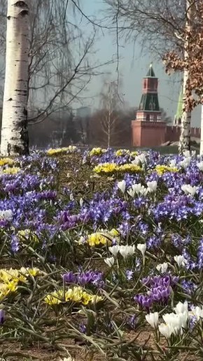 С добрым весенним утром, жители Новоайдарского округа! Всем отличных выходных!