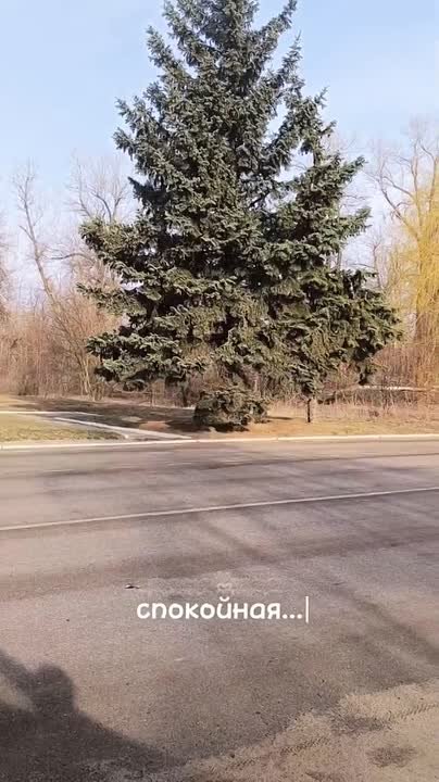 Доброе утро! Суббота, 4 апреля