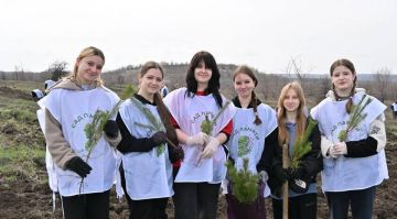 ����������� �������� ��� ���