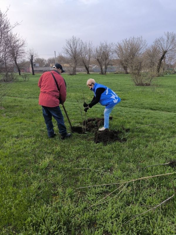 Единороссы Станично-Луганского муниципалитета высадили «Сад памяти» в пгт Петровка Единороссы Станично-Луганского муниципалитета высадили «Сад памяти» в пгт Петровка
