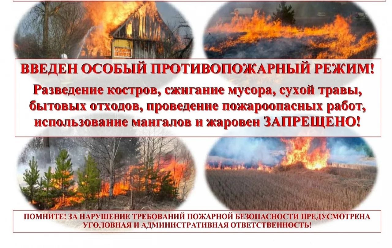 Андрей Рубанцов: Уважаемые жители городского округа город Ровеньки!