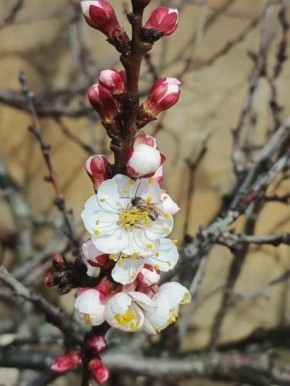 Доброе утро, кировчане!. Пусть настроение ваше будет солнечным, а день принесёт только положительные эмоции! @agklnr #Кировск