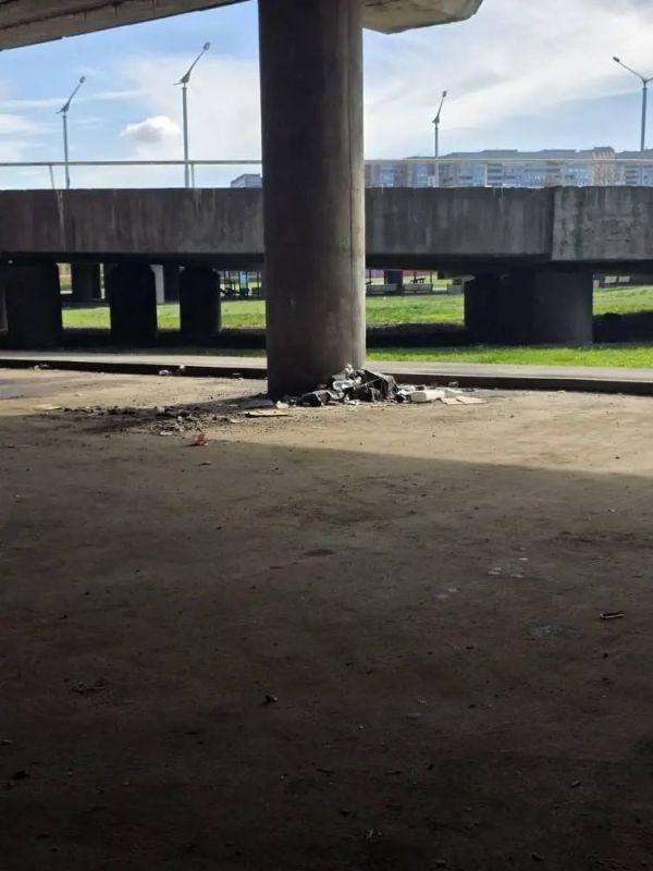 Под эстакадой в Луганске — горы мусора! Под эстакадой в Луганске — горы мусора!