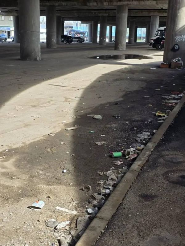 Под эстакадой в Луганске — горы мусора! Под эстакадой в Луганске — горы мусора!