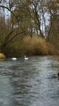 С добрым воскресным утром, жители Новоайдарского округа! Отличного всем отдыха и хорошего настроения!
