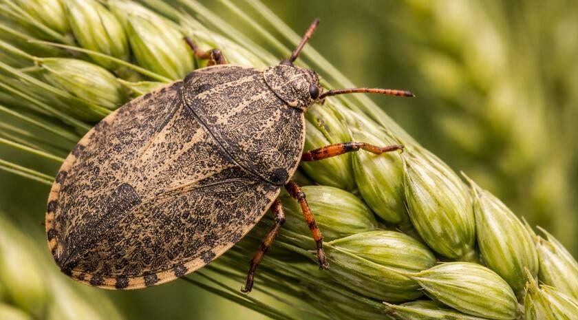 ��������������� ������������ ������������ ������� �������������� �������� � ����������� � ����������� �������� ��� ������������� � ��������� ������������ ���������������� ��������� �����