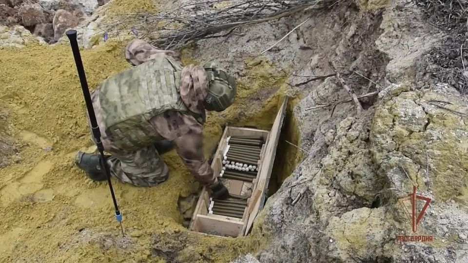 ����������� ���������-������� ������������� ����������, ����������� ��������-������ ������ � ���� ���, ������� ����������� �� ����������� ������������� ��������� �� ������������ ����������� ���