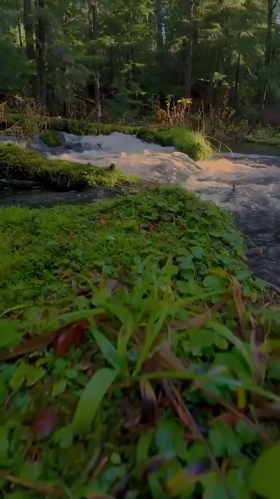 С добрым апрельским утром, жители Новоайдарского округа! С началом новой рабочей недели!