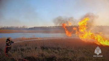 �� �������� � ��� ������� 16 �������� �������� � ������