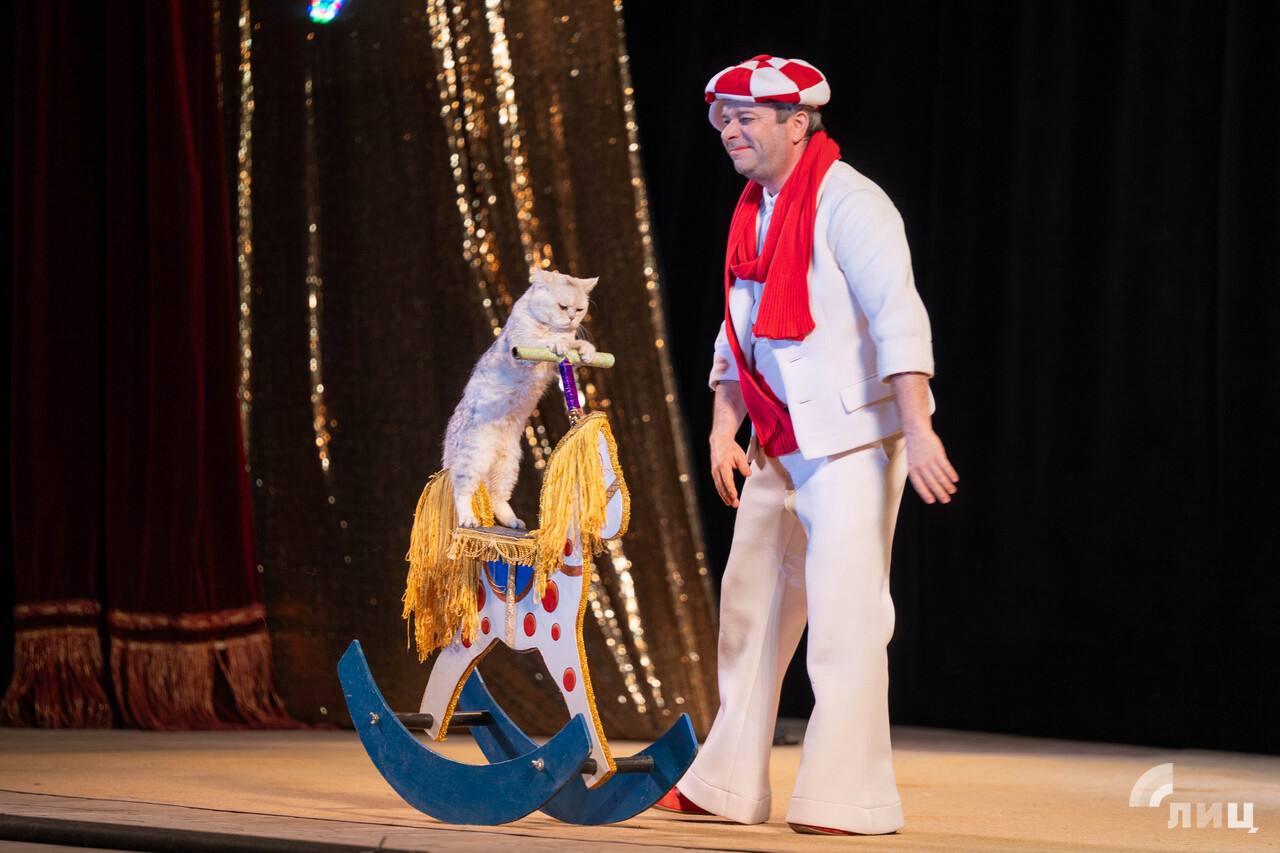 Дмитрий Куклачев: «Животные из зоны боевых действий могут быть прекрасными компаньонами» Мы в прошлом году спасли трех фронтовых котов: двух с Донецкого направления и одного с Курского Дмитрий Куклачев: «Животные из зоны боевых действий могут быть прекрасными компаньонами» Мы в прошлом году спасли трех фронтовых котов: двух с Донецкого направления и одного с Курского