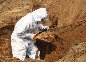 Работа продолжается. МРГ извлекла из захоронения под Северодонецком останки 12 мирных жителей За 2025 год участники межведомственной рабочей группы по розыску захоронений жертв украинской агрессии, их идентификации и...