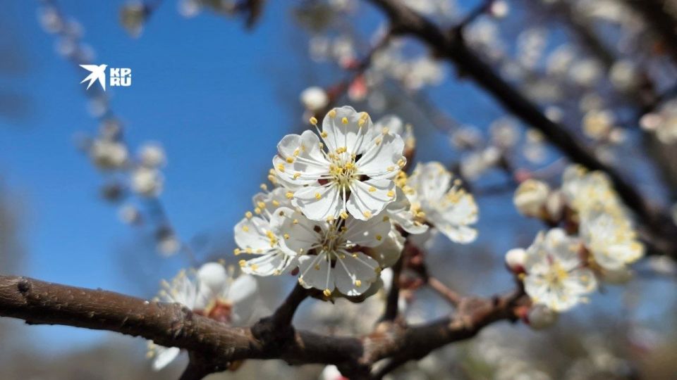 ������ � ��� �� 6 ������. � ����������� � ��� ���������� ����������, ��� ������������ �������