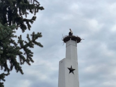 ��������� �� ������ �����: � ������� ��������� ���������� ���� ����� ������