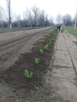 ��������������� �����: ������� � ���� �����