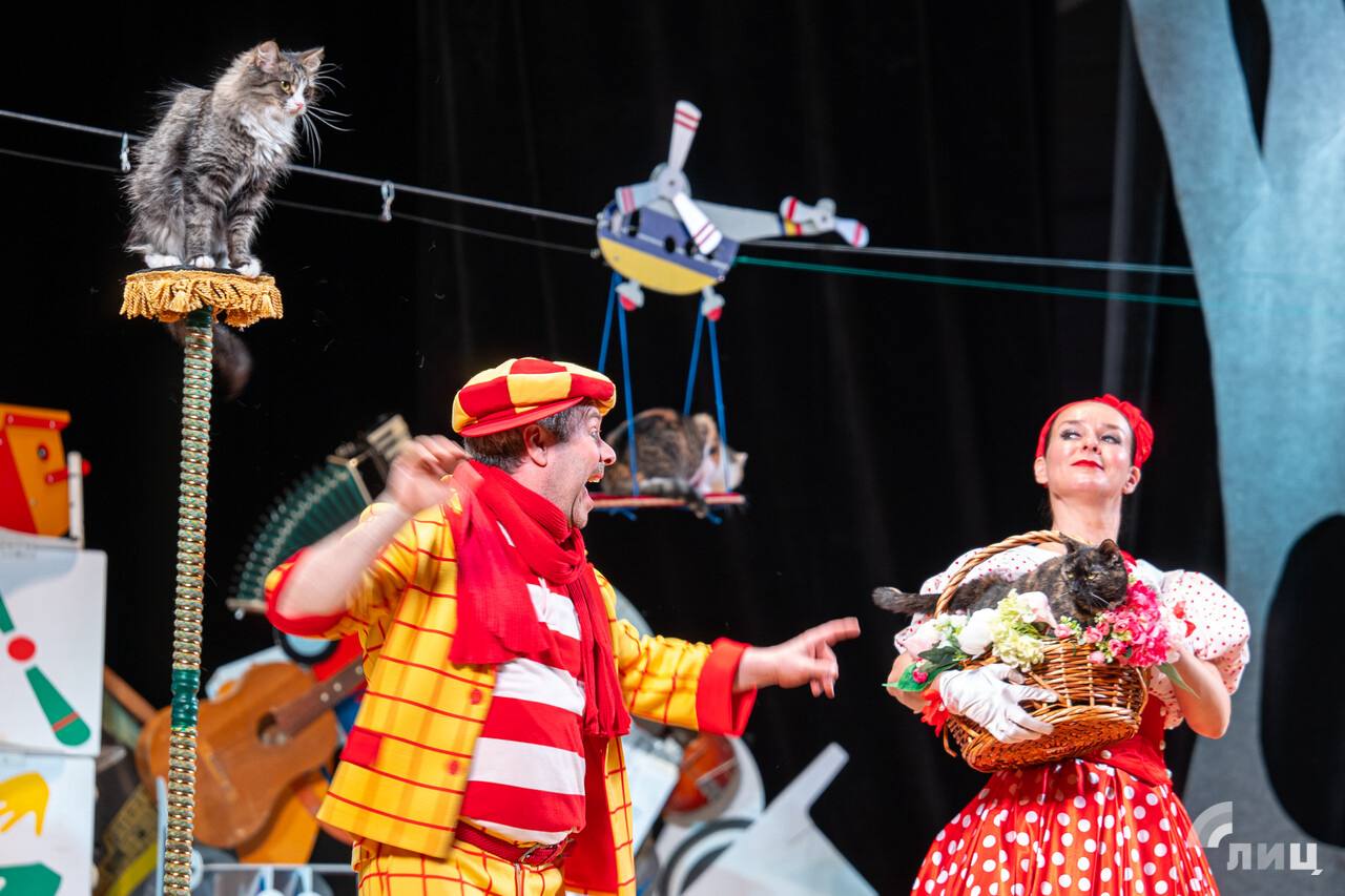 Дмитрий Куклачев: «Животные из зоны боевых действий могут быть прекрасными компаньонами» Мы в прошлом году спасли трех фронтовых котов: двух с Донецкого направления и одного с Курского Дмитрий Куклачев: «Животные из зоны боевых действий могут быть прекрасными компаньонами» Мы в прошлом году спасли трех фронтовых котов: двух с Донецкого направления и одного с Курского