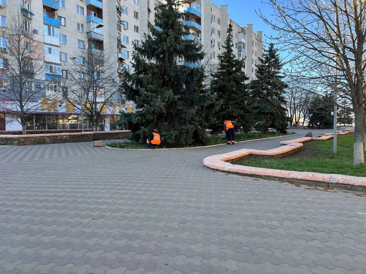 В Краснодоне работниками МУП "Дорожно-эксплуатационное управление" продолжаются работы по раскрытию и обрезке роз, что становится важным шагом в благоустройстве городской территории