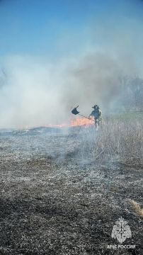 В ЛНР увеличивается количество ландшафтных пожаров