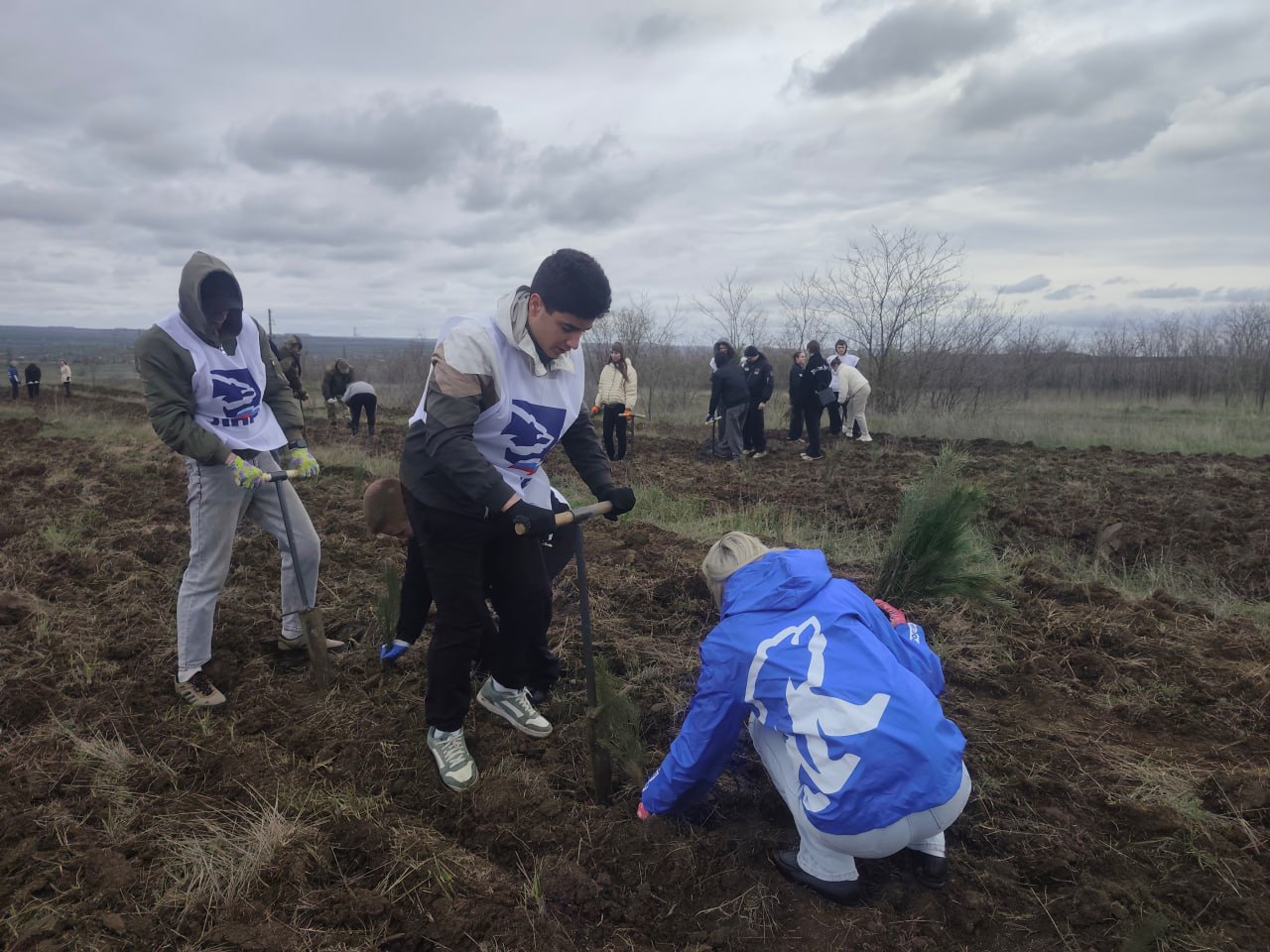 В рамках всероссийской акции «Сад Памяти» в Краснодоне высадили 7 тысяч саженцев сосны В рамках всероссийской акции «Сад Памяти» в Краснодоне высадили 7 тысяч саженцев сосны