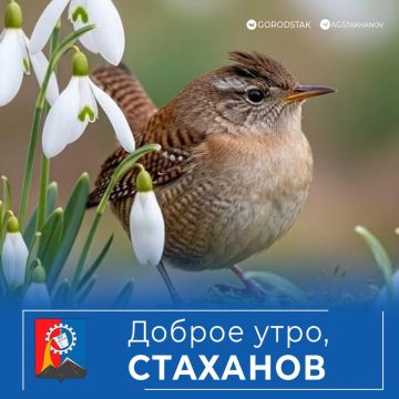 ������ ����, ��������!. ������� � ������������ ��������� ����������