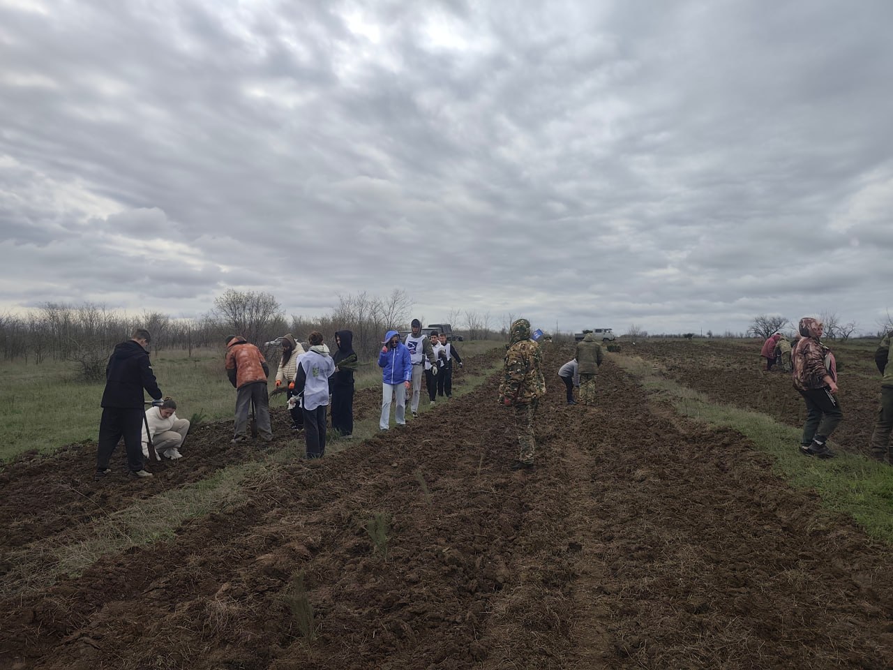 В рамках всероссийской акции «Сад Памяти» в Краснодоне высадили 7 тысяч саженцев сосны В рамках всероссийской акции «Сад Памяти» в Краснодоне высадили 7 тысяч саженцев сосны