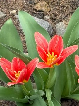 ��������� ������������ 8 ������ � ��� �� ���� 1 ������� ����� �� 11 �������� ����� ����, ������� ��������� ��������� � ��������� �����, ������ ����� �� 17 �/�