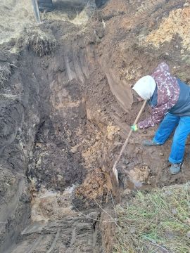 ����������� ���������� ������ �� ����������� � ������ ��������