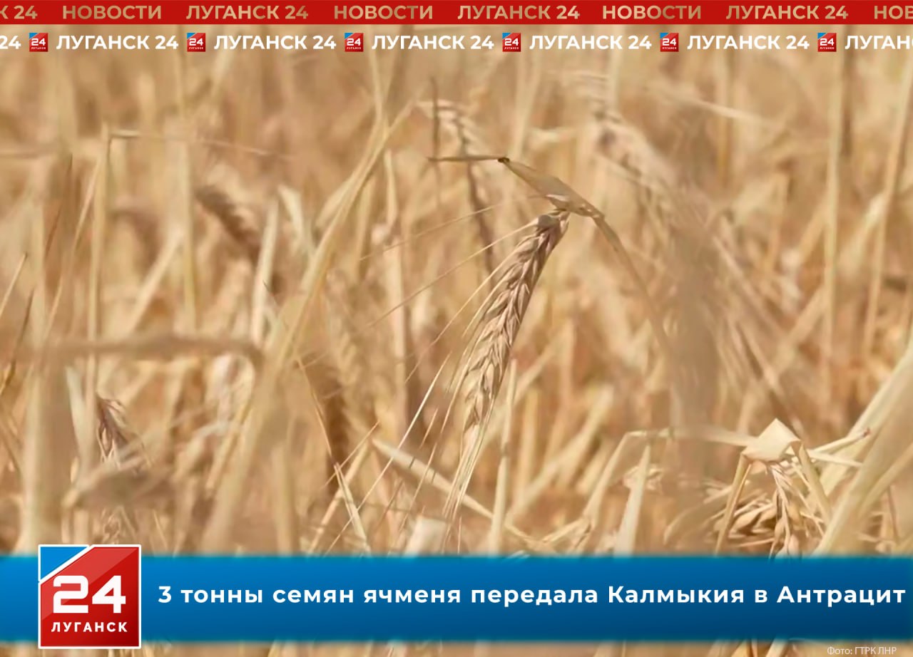 3 тонны семян ячменя передала Калмыкия в Антрацит