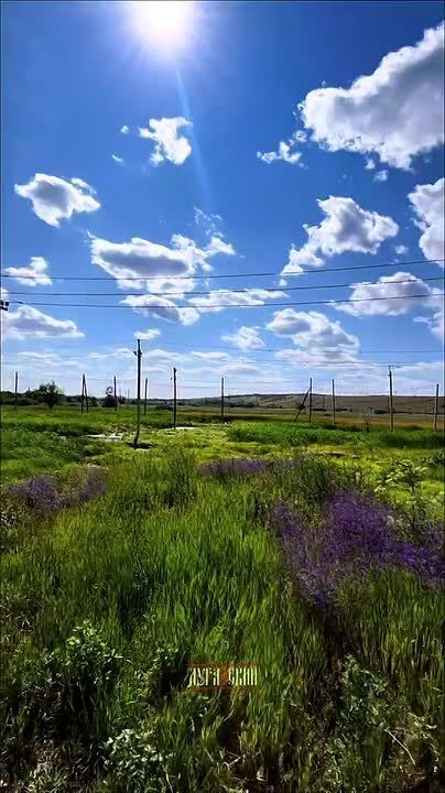 ������ ����, �������!. ����