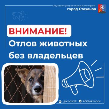 08 ������ 2026 ���� � �. ��������� ����� ����������� ����� �������� ��� ���������� (�����)