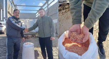 � �������������� ������ ������ ���������� ��������� ������