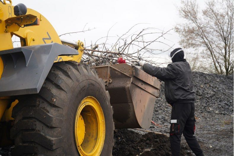 � ������������ ������ ������������ ������ �������� � ������� �������� ����� ������ � ������� ������