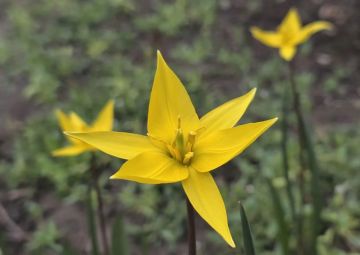 Температурные качели в ЛНР не закончатся как минимум неделю