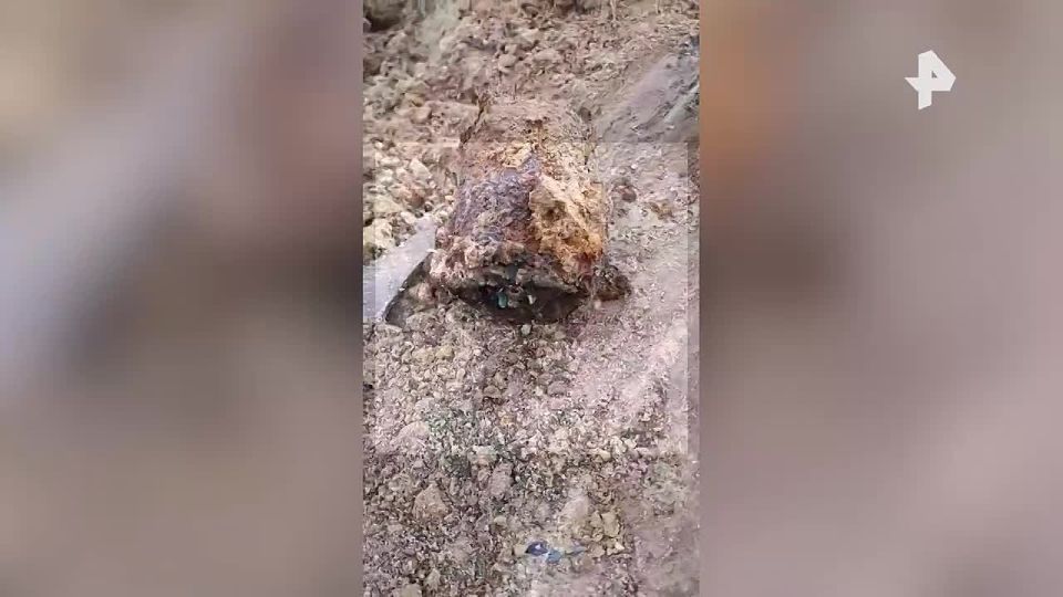 ������� 30 ������, �������� � ���� ������� ������������� �����, ���������� � ����������