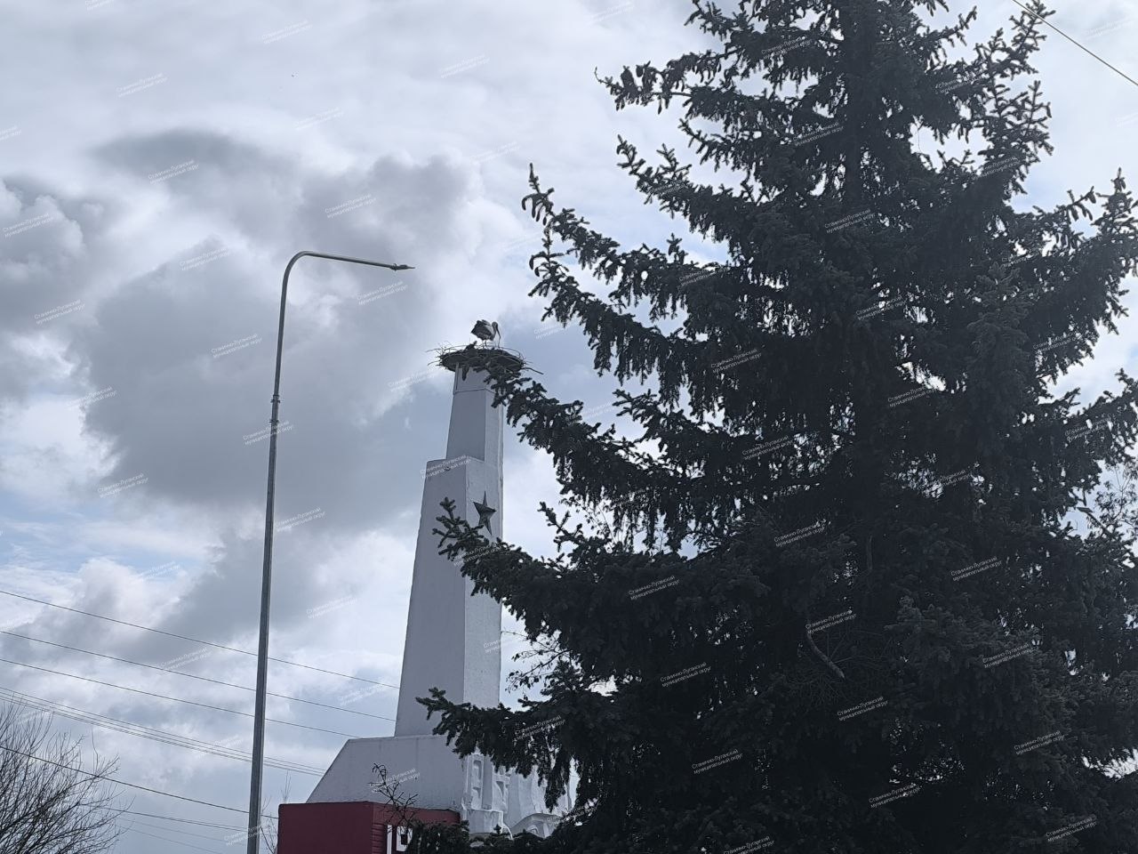 Доброе утро! Среда, 8 апреля Доброе утро! Среда, 8 апреля