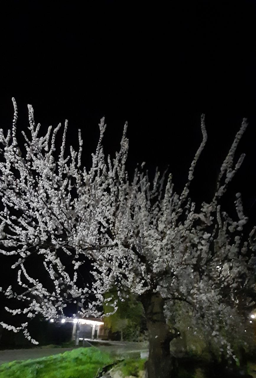 Немного белоснежности от наших подписчиков Немного белоснежности от наших подписчиков