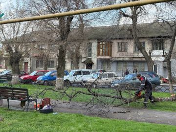 � 2025 ���� ������� ��� �������� ������� � ����������� ����������� �� ������ ������������ ����������, ���������� ��������������� ��������������� � 2026 ����