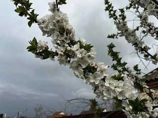 ������������� ������ � ������� ��������� ��� ��� ������� ������