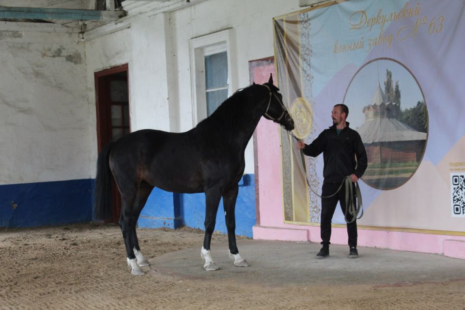 ������� ���������: � ������ ������� ������� ����������� ������������� ����� ������� ������� ��������������� ���� ������, ���� ������������ ������ ������ ������� ������� ������ �������� ����������