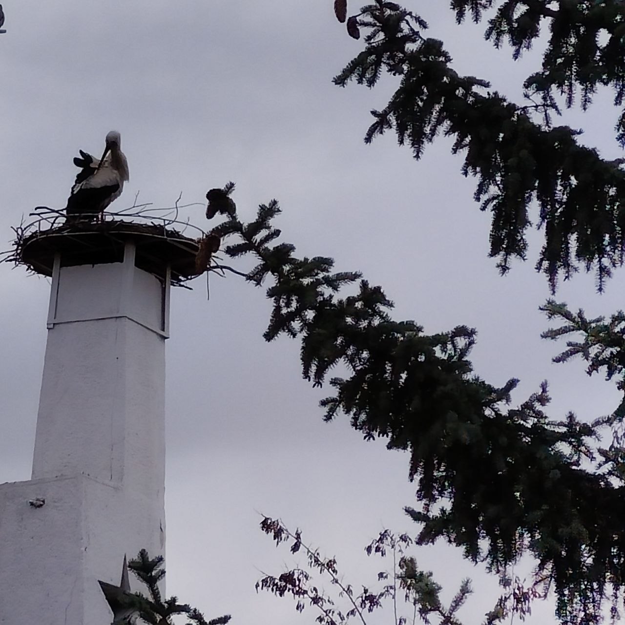 Доброе утро! Среда, 8 апреля Доброе утро! Среда, 8 апреля