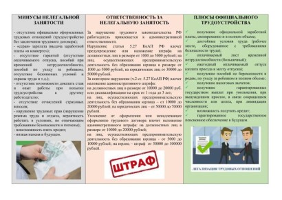 Теневая, или неформальная занятость – это деятельность лиц, связанная с удовлетворением личных потребностей и приносящая им заработок, факт осуществления которой полностью или частично скрывается работодателем, что приводит...