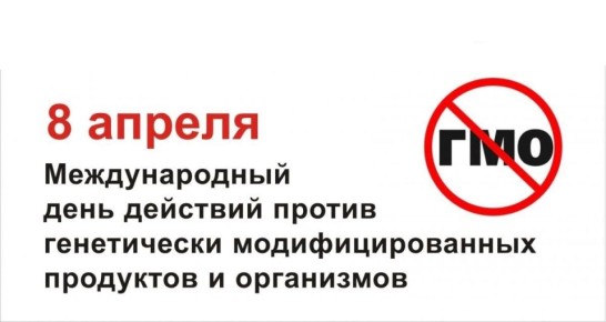 Наталия Пащенко: 8 апреля – Международный день действий против ГМО: осознанный выбор – залог здоровья