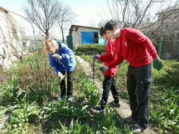 ����� ��� �������: ������ �������� �����������